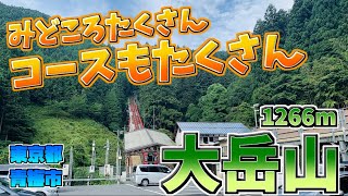 【初心者登山】見どころたくさん！コースもたくさん！！ アクセス抜群の低山 東京都 大岳山をハイキング