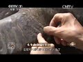 20150721 致富经 斗牛的财富（下）