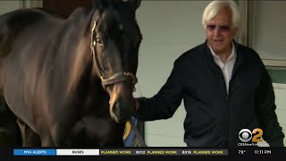 Horse Trainer Bob Baffert's Suspension Lifted By Judge