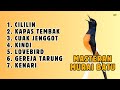 576 🔴 MASTERAN MURAI BATU GACOR DI SIANG HARI