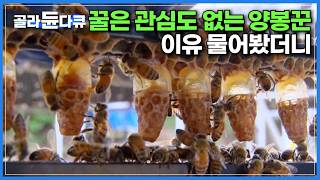 3,500만 마리의 벌들이 만드는 꿀은 뒷전인 양봉업자. 이유 물어봤더니｜1년 중 단 20일만 채취 가능하다는 신의 선물, 로열젤리｜로열젤리 생성 과정｜극한직업｜#골라듄다큐