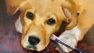 How to Paint a Labrador Retriever in Oil | Pet Portrait Walkthrough