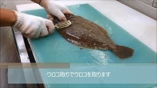 【日料刀工系列】比目鱼刺身分解 Knife Skill Travel Channel 2016