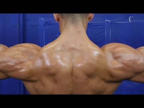 5 Exercises for HUGE Shoulder Gains 5 Exercises for HUGE Shoulder Gains