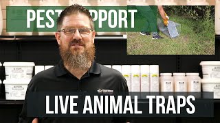 How do You Set a Live Animal Trap? | Pest Support