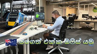 A Day in my Office Life | How to Find a JOB in Australia | මගෙත් එක්ක ඔෆිස් යමු 🇦🇺🇱🇰