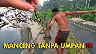 Mancing Tidak Perlu Umpan ⁉