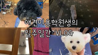 [VLOG] 애견미용학원생 일주일간 브이로그 구경하기❤️(비숑미용/푸들미용/알바💦/오랜만에 엽떡/두명의 친구/재밌는 일주일👍)