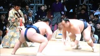 平成28年大相撲九州場所5日目　勢　宝富士