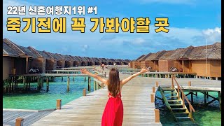 신혼여행#1 코시국 해외여행 카타르항공 도하-말레 공항경유 이코노미클래스 기내식 멀고도험한 몰디브가는길 국내선 스피드보트지역 6성급 하이더웨이