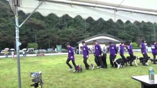 大阪チーム『まいどｯ!!OSAKA』犬塾にて-2015.10.12-