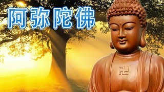 最好听的版本 - 纯正的佛教歌曲【最好的音质】来自内心的佛教音乐 - 纯正的佛教音乐 - 早晚1次 Buddhist Music