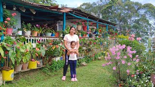 El jardín de Ana,  una suscriptora que nos invitó a su hermoso jardín .