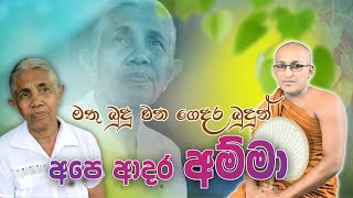 අම්මා ගැන ලියවූ අති සන්වේදී කවිබණ නිර්මානය. Matibemiye pangananda හිමිගේ සුමදුර හඩින්