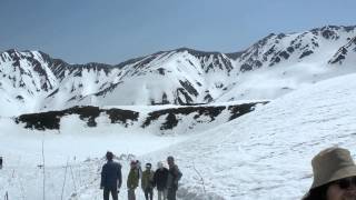 5月室堂まさに　快晴