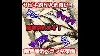 簡単！サビキ釣りで入れ食いだ！ fishingmax芦屋店