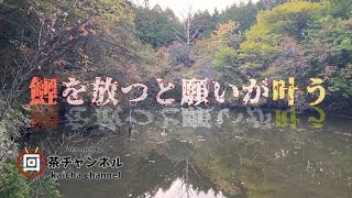 【秘境】愛知県伝説の池「根池」へ行って来た！【伝説】