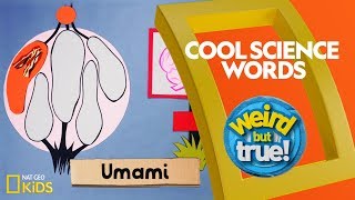 Cool Science Words from "Weird But True!" | Weirdest, Bestest, Truest