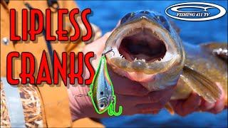 Fishing Lipless Cranks for Walleye