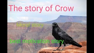The Crow  Story/Best Motivational Video