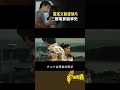 瓊瑤文藝愛情片 三廳電影風華史｜台灣演義 taiwan history 台灣演義 電影 瓊瑤 甄珍