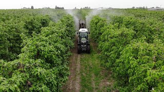 Fendt 211F