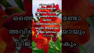 വിജയം അത് കുടുംബങ്ങളിൽ ആയാലും #malayalaminspirational #shortsfeed #malayalammotivation