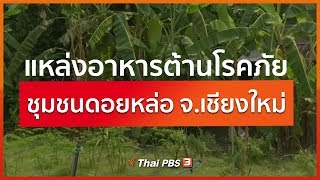 แหล่งอาหารต้านโรคภัย ชุมชนดอยหล่อ จ.เชียงใหม่ : ตอบโจทย์ภัยพิบัติ (25 มี.ค. 63)