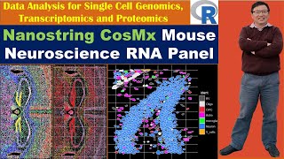 Nanostring CosMx Mouse Neuroscience RNA Panel