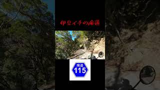 【バイクツーリング】伊豆で一番の険道　県道１１５号線にアタック！ #shorts