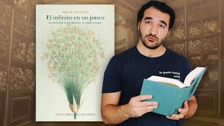 El infinito en un junco, de Irene Vallejo | RESEÑA