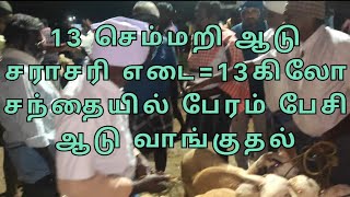 மோர்பாளையம் வெள்ளி சந்தை | 13 செம்மறி ஆடு விலை=___ | சராசரி எடை=13 கிலோ | SUBSCRIBE TO OUR CHANNEL