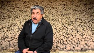 McDonald's Potato Supplier, Frank Martinez: \