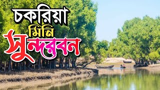 চকরিয়া সুন্দরবন | Chakria Sundarban | hmriazpekua