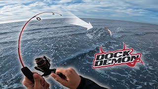 FISH OF A LIFETIME vs ZEBCO Dock Demon mini rod!!! (DID IT BREAK?)