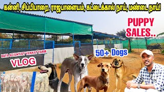 நாட்டு நாய்களை மீட்கும் முயற்சி- Data Scientist Dog Farm-Part 1 | 2000 முதல் குட்டிகள் கிடைக்கும் |