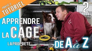 Apprendre LA CAGE de A à Z - La PROPRETE (Partie 2)