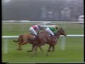 1986 Swinton Insurance H'cap Hurdle Prideaux Boy