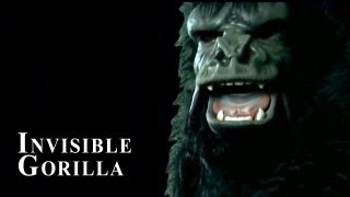The Invisible Gorilla (featuring Daniel Simons) (EMMY Winner)
