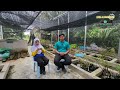 EDISI KHAS : PERTANDINGAN VIDEO TERBAIK TV PSS : GERMPLASMA WARISAN HUTAN BAKAU BAGAN DATUK