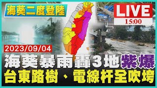 海葵暴雨轟3地「紫爆」　台東路樹、電線杆全吹垮LIVE｜1500 海葵二度登陸｜TVBS新聞