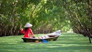 AMAZING Forest tour in delta of Mekong ,Vietnam