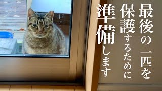 庭にやってくる最後の地域猫を保護すると決めてから…