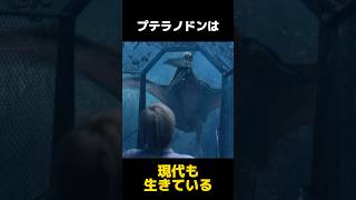 現代にも生息するプテラノドンの都市伝説に関する雑学