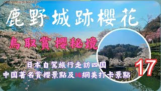 鹿野城跡公園▕ 鳥取當地人賞櫻秘境▕ 櫻花倒影美的夢幻 EP17【日本自駕旅行走訪四国、中囯著名賞櫻景點及IG網美打卡景點DAY5】