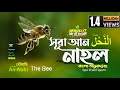 16) সূরা নাহল - Surah An-Nahl (bee) | سورة النحل অনুবাদ | Qari Shakir Qasmi | mahfuz art of nature