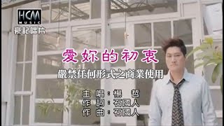 楊哲-愛妳的初衷【KTV導唱字幕】