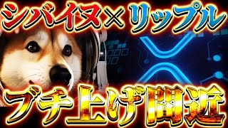 【シバイヌ×リップル】ミームコイン卒業のSHIB、主要通貨XRPが実質提携!!暴騰秒読み!!DOGEの時価総額を超えるか⁉イーロンマスクも驚愕!!【CAW】【X】【仮想通貨】