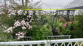 【ガーデニング】大人気・個人庭シリーズ。敷地いっぱいに植えられたたっぷりの花々をお楽しみください。【園芸】【ガーデン】