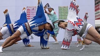 春の大阿波踊り「むさし葵連」新小岩さくらまつり（2017.4.9）